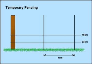 How to set up temporary electric fencing for pigs with timber/steel posts Temporary Electric Fencing Spacing for Pigs Info